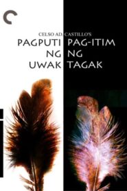 Pagputi ng Uwak… Pag-itim ng Tagak